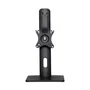 Aisens Soporte de Mesa Pro DT32TSR-063 para Monitor/TV 17-32 pulgadas, Negro